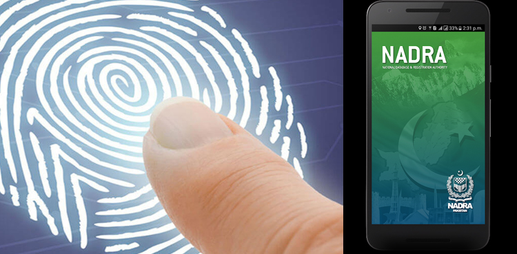 nadra contactless biometric verification facility sbp