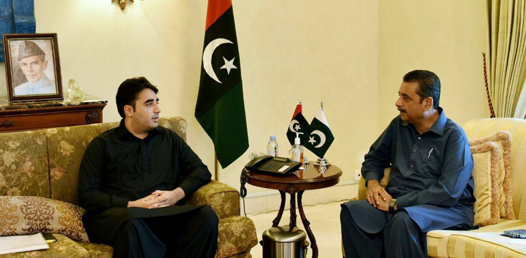 PPP Syed Najmi Alam KWSB vice-chairman
