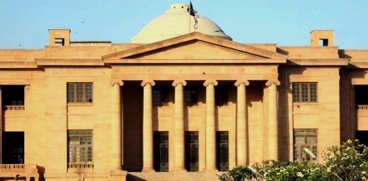 PSP on local government law