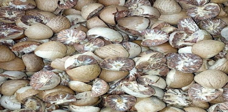 betel nuts Karachi raid
