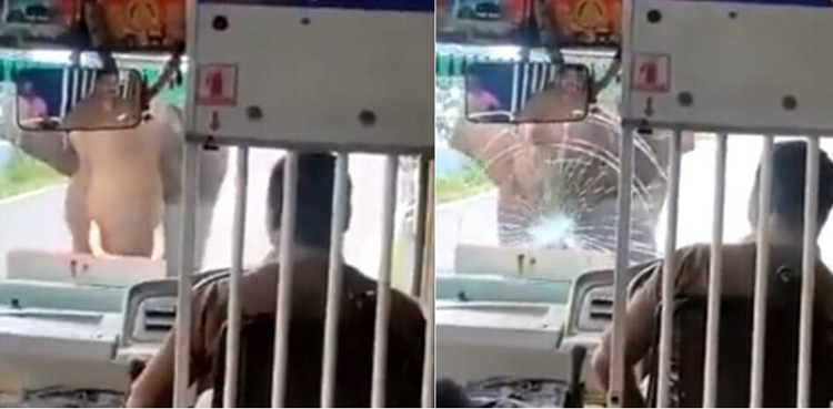 Elephant attacks passenger bus