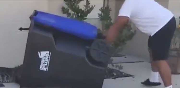 alligator trash can