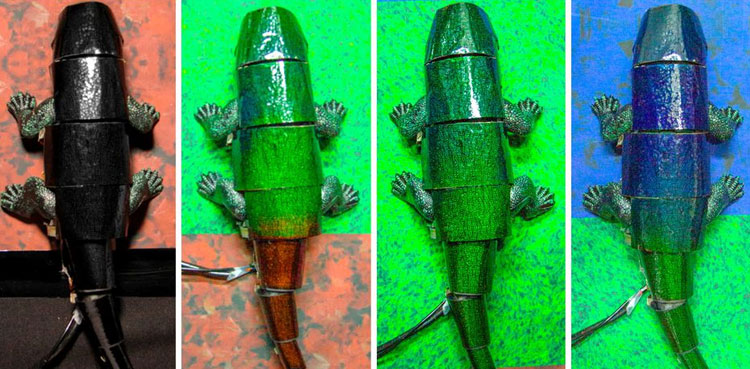 South Korea researcher chameleon
