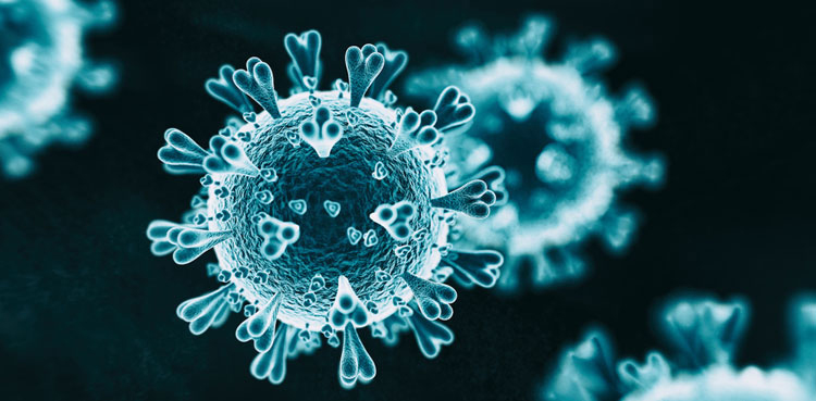 China, Covid pandemic, lab leak unlikely,