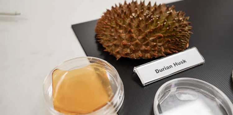 durian husks antibacterial gel bandages