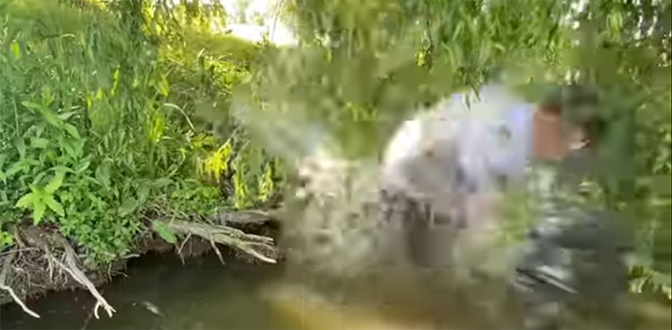 fish, fisherman, lake,