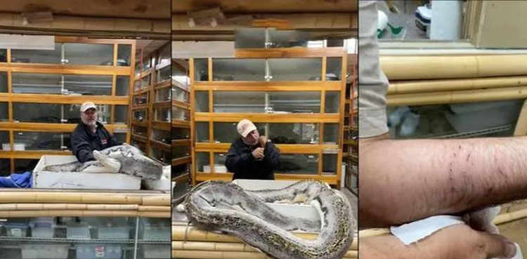 gian-python-bites-zookeeper