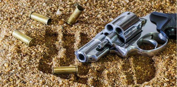 Chicago mother shoots son dead