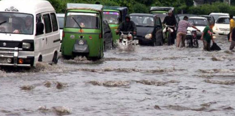 rains claim 173 lives, 260 injured, NDMA
