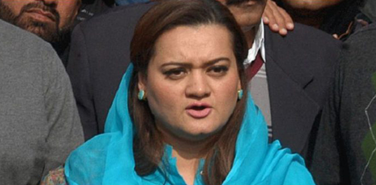 pml-n publicise nab recovery ill-gotten money