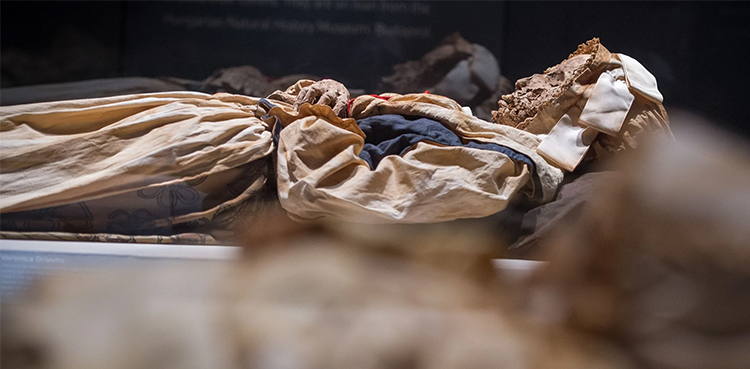 mother mummified kept in cellar