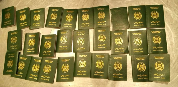 passport, online payment