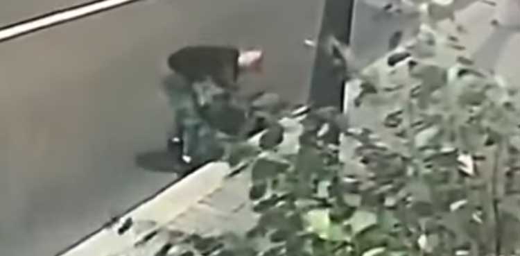 russia, woman fight, robber