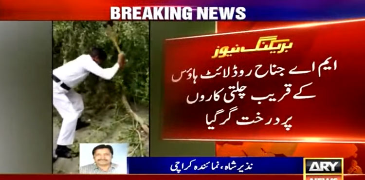 Tree collapses, Karachi, Light House, MA Jinnah Road