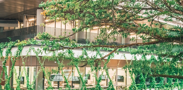 greenery buildings stress
