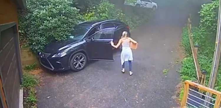 bear woman car