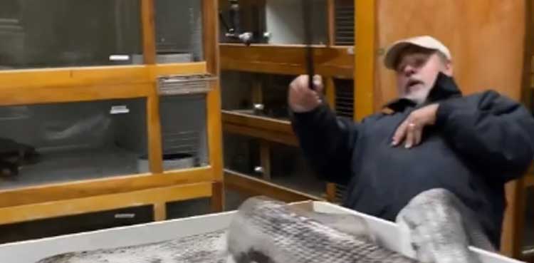 python, python bites, zookeeper