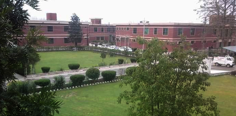 bacha khan university charsadda professor vice-chancellor tampered degree illegal appointments