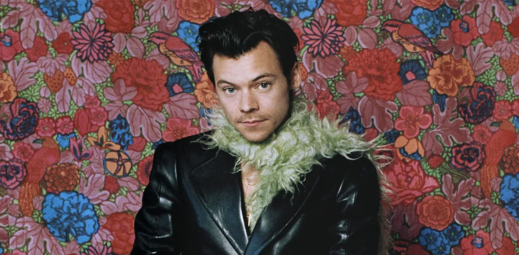 Harry Styles joins Marvel
