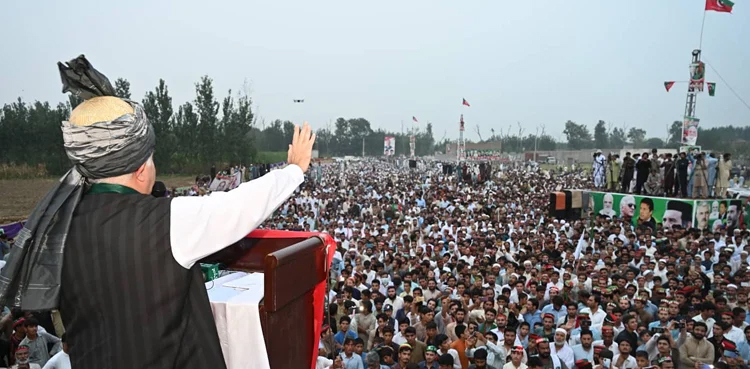 pti pml-n anp prominent personalities