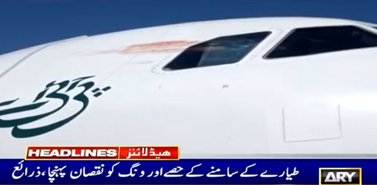 PIA plane bird strike