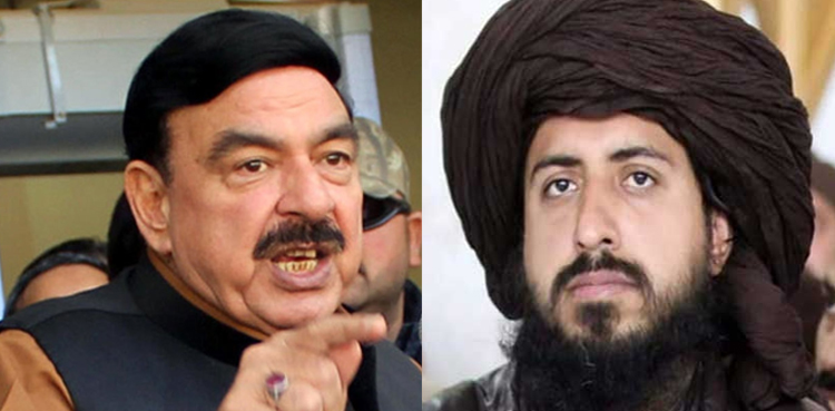 Plan-being-devised-for-Saad-Rizvi's-release,-says-Sheikh-Rasheed