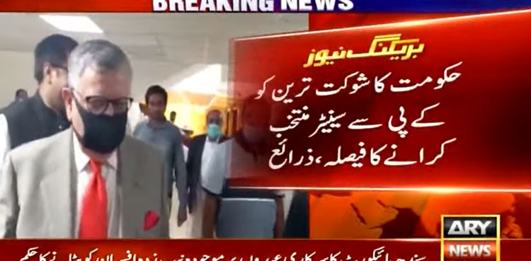Govt shaukat Tarin Senate KP