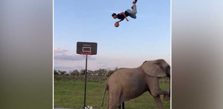 basketball stunt amazing viral video