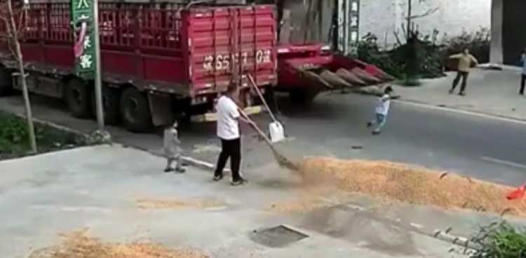 combine harvester, accident, boy