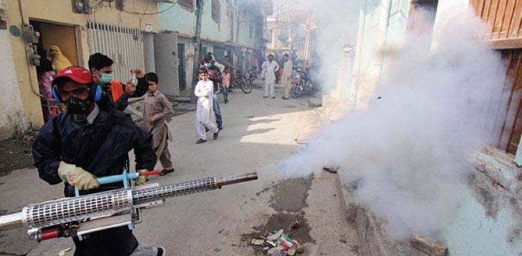 dengue fever cases KP increase