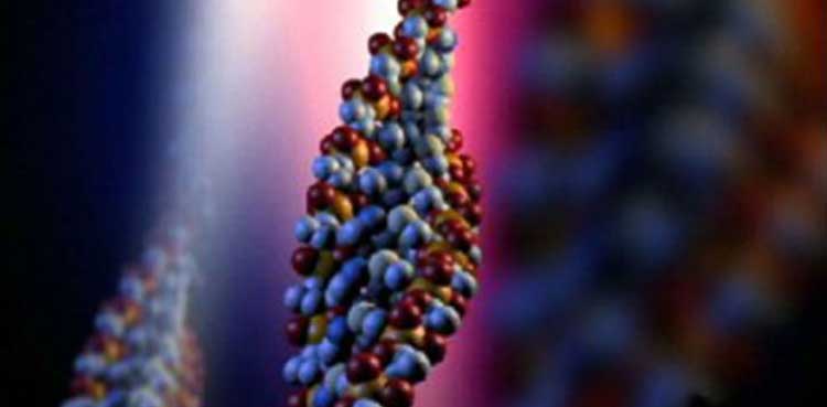 dna, missing woman,