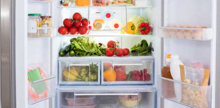 fridge smell fridge smell
