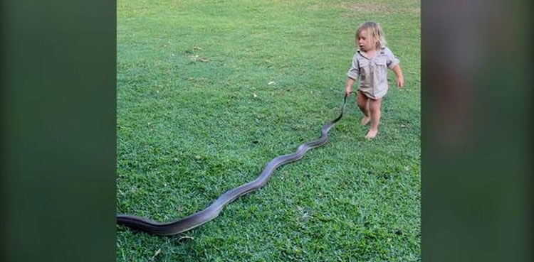 two-year-old boy play snake