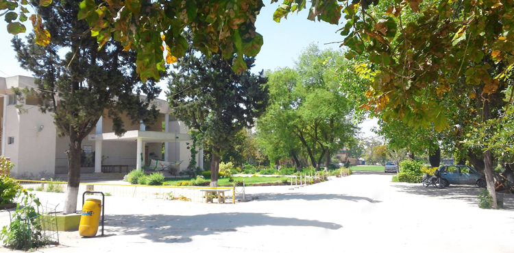 women college university status rawalpindi sheikh rasheed viqar-un-nisa noon college for women