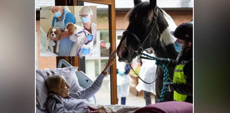 woman dying hospice staff