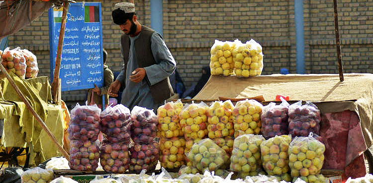 Afghanistan's food crisis a 'legacy' of previous government: Taliban