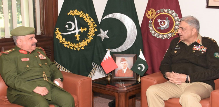 General Qamar Javed Bajwa, COAS, afghans, BNG