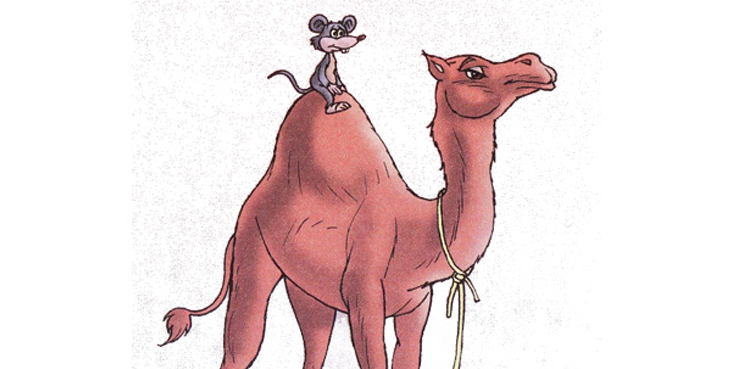 Mouse and Camel Rumi