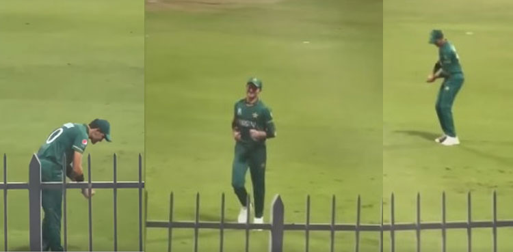 Shaheen Shah Afridi