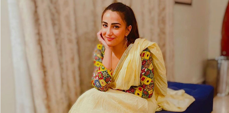 ushna shah, actor, viral pictures