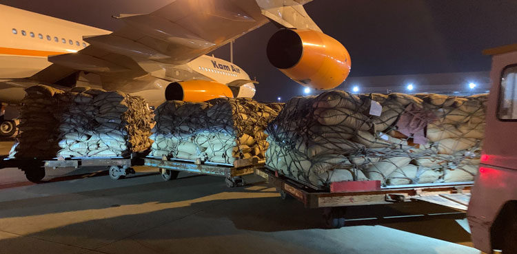 Afghanistan chilgoza export