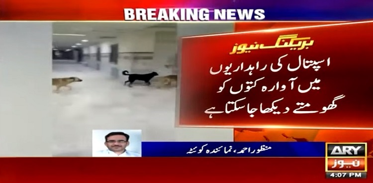 Bolan Medical Complex