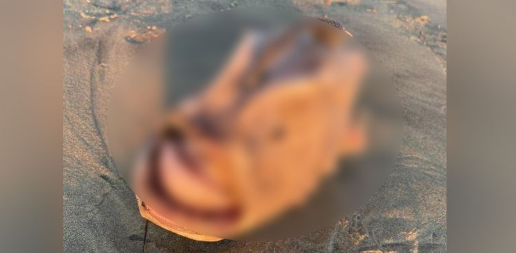 'deep-sea monster' footballfish