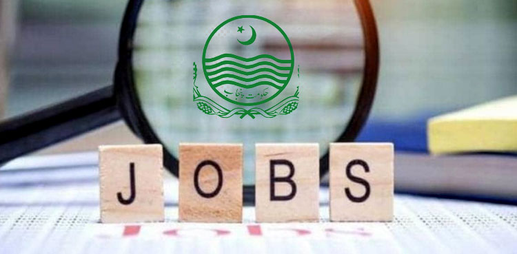 recruitment, punjab jobs, 30,000 jobs, Parvez Elahi
