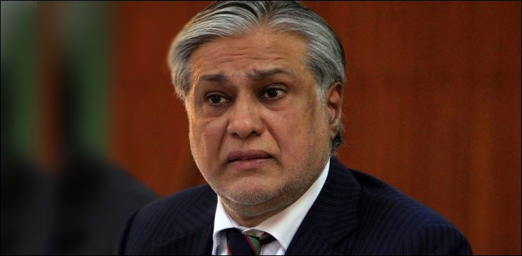 Ishaq Dar Senate seat, verdict reserved, ECP