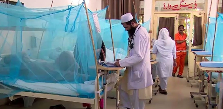 Punjab dengue cases, Secretary Health