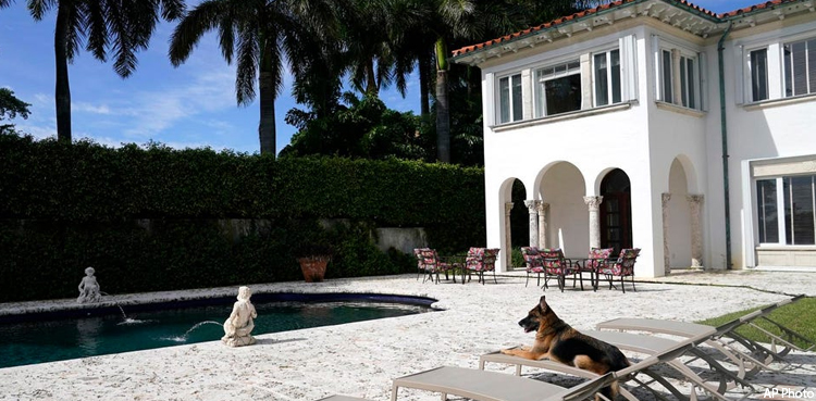 world richest dog gunther vi miami mansion sale