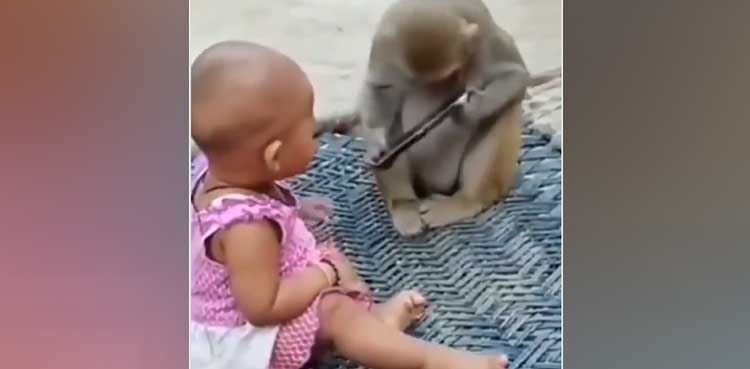 baby playing with monkey viral video