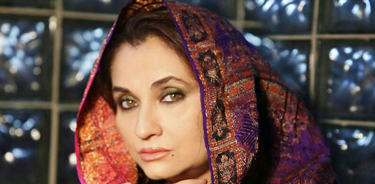 salma agha handbag snatched