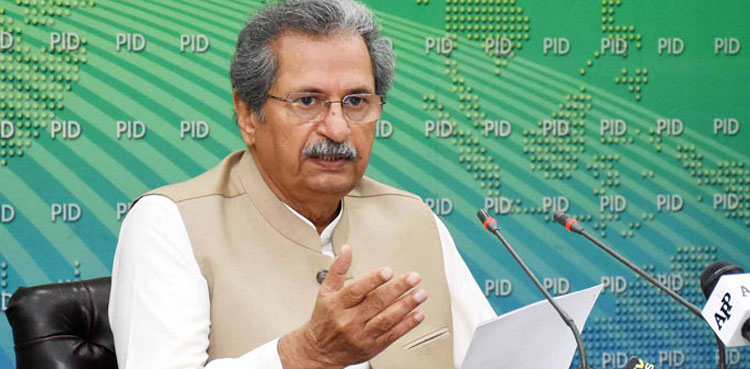 shafqat mahmood interim bail